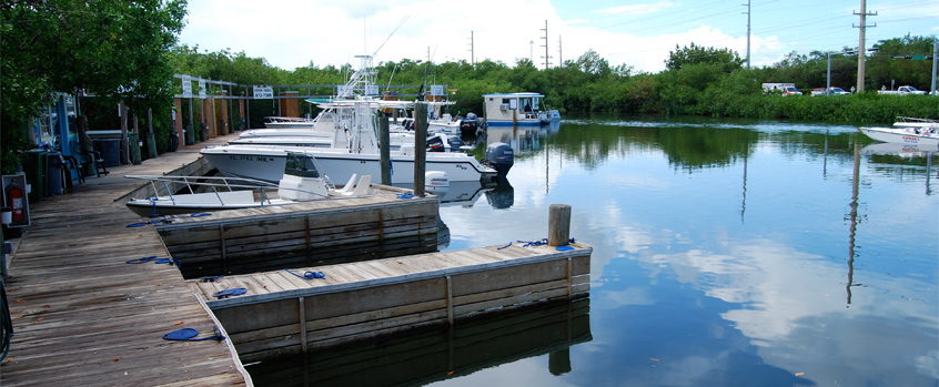 Hurricane Hole Marina